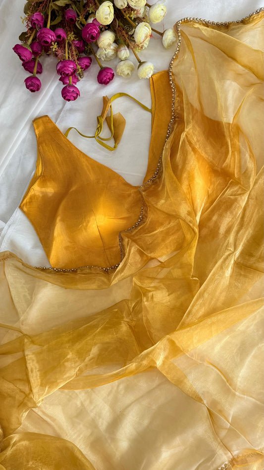Designer Glass Saree| Sleeveless Stitched Blouse | Free Size Blouse